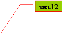 Line Callout 3: นตร.12
