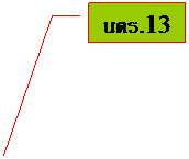 Line Callout 3: นตร.13
