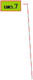 Line Callout 3: นตร.7
