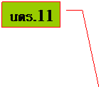 Line Callout 3: นตร.11
